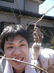 gg̐XۑSi2011N2ځj